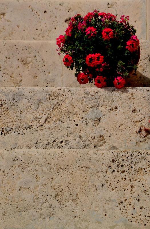 B&B Casale Fonte Vecchia Monteprandone Zewnętrze zdjęcie
