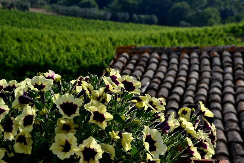 B&B Casale Fonte Vecchia Monteprandone Zewnętrze zdjęcie