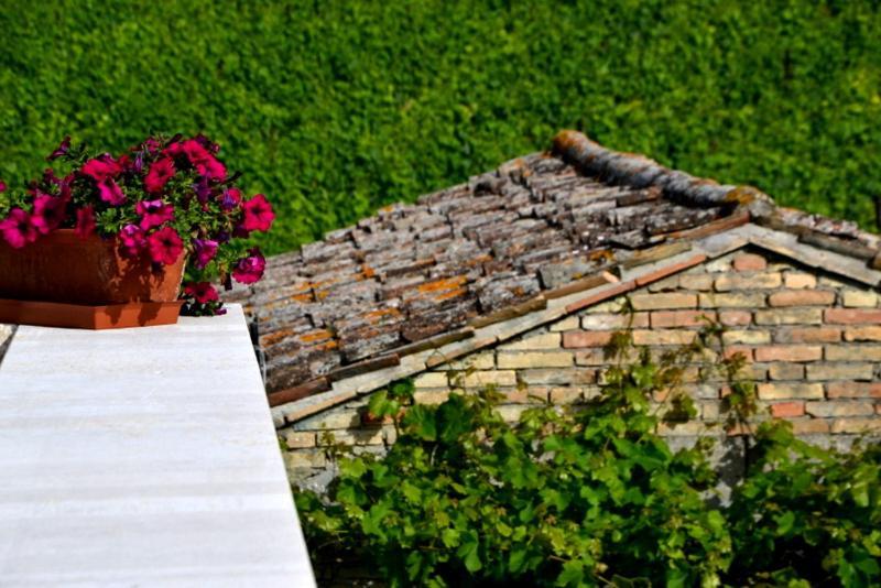 B&B Casale Fonte Vecchia Monteprandone Zewnętrze zdjęcie